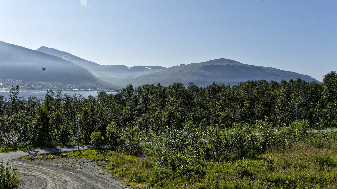 20230731 094829•Tromso•Troms og Finnmark•Norway